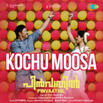Kochu Moosa  - Pinvaathil