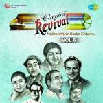 Revival Vol.6 Nainon Mein Badra Chhaye