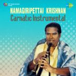 Namagiripettai Krishnan - Carnatic Instrumental