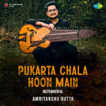 Pukarta Chala Hoon Main - Instrumental