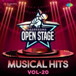 Open Stage Musical Hits - Vol 20