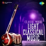 Classic Mood Light Classical Music