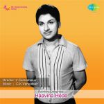 Haavina Hede