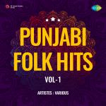 Punjabi Folk Hits Vol-1