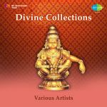 Dvine Collections