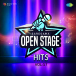 Open Stage Hits - Vol 57