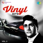 Vinyl Hits Vol.2