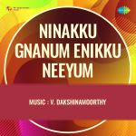 Ninakku Njaanum Enikku Neeyum