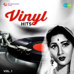 Vinyl Hits Vol.1