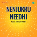 Nenjukku Needhi
