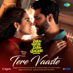Tere Vaaste - Zara Hatke Zara Bachke