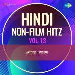 Hindi Non-Film Hitz Vol-13