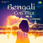 Bengali Lofi Mix Vol - 2