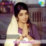 Annai Velankanni