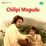 Chilipi Mogudu