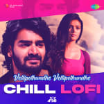Vellipothundhe Vellipothundhe - Chill Lofi