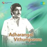 Adharangai Vidhumbunnu
