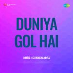 Duniya Gol Hai