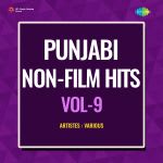 Punjabi Non-Film Hits Vol-9