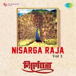 Nisarga Raja Volume 3
