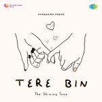 Tere Bin