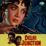 Delhi Junction