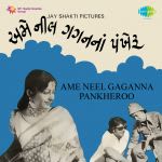 Ame Neel Gagan Na Pankheroo (guj)
