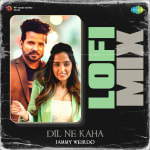 Dil Ne Kaha Lofi Mix