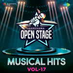 Open Stage Musical Hits - Vol 17