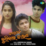 Mate Bhulibara Karana