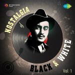 Nostalgia of Black & White Vol. 1