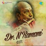 Dr. N. Ramani Flute