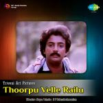 Thoorpu Velle Railu