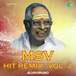 MSV Hit Remix - Vol. 2