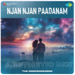 Njan Njan Paadanam - Aesthetic Mix