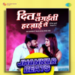 Dil Na Lagaiti Harjayi Se - Jhankar Beats