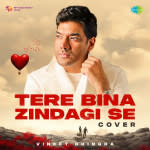 Tere Bina Zindagi Se - Cover