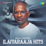 2-in-1 Series â€“ Ilaiyaraaja Hits