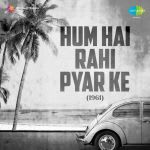Hum Hain Rahi Pyar Ke