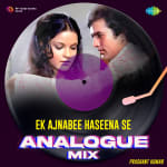 Ek Ajnabee Haseena Se - Analogue Mix