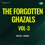 The Forgotten Ghazals Vol-3