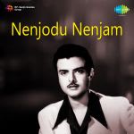 Nenjodu Nenjam