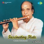 Fascinating Flute
