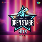 Open Stage Hits - Vol 12