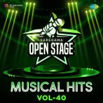 Open Stage Musical Hits - Vol 40