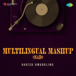 Multilingual Mashup (Sad)