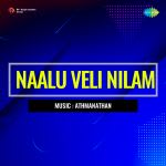 Naalu Veli Nilam