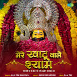 Mere Khatu Wale Shyam