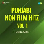 Punjabi Non-Film Hitz Vol-1
