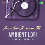 Yevare Yevare Manasuni Patti - Ambient Lofi
